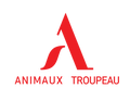 Animaux Troupeau